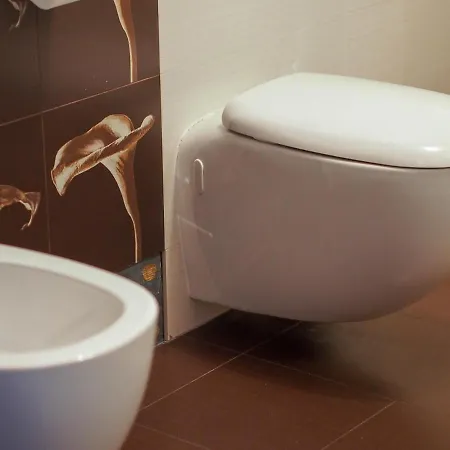 Hostel Pod Brzozami *