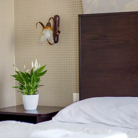 Pod Brzozami Hostel *